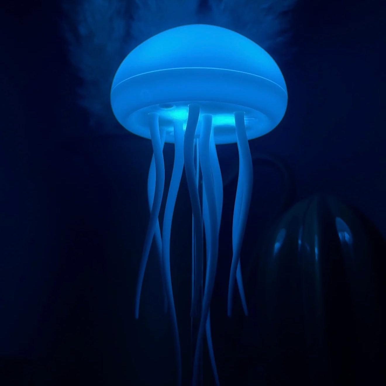 My Jellyfish Lamp